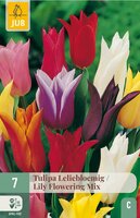 Tulpen leliebloemig mix 7 bollen - afbeelding 2