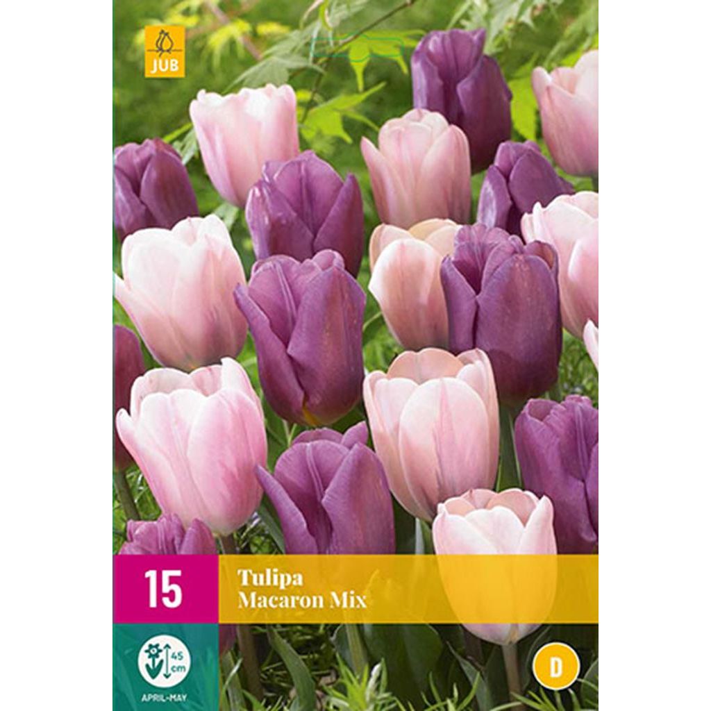 Tulpen macaron mix 15 bollen - Bloembollen Kopen? Goedkoop Bloembollen online Bestellen!