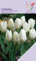 Tulpen Purissima 10 bollen - afbeelding 2