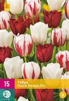 DUTCH DESIGN TULIPA