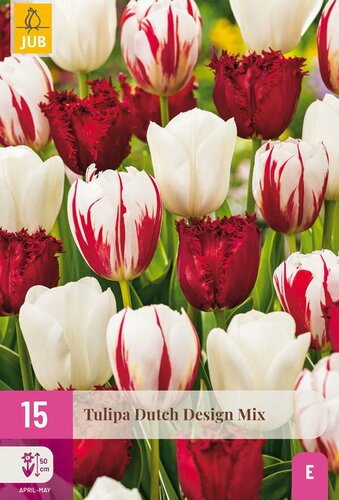 Tulpenbollen dutch design mix 15 stuks - afbeelding 3