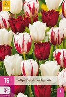 Tulpenbollen dutch design mix 15 stuks - afbeelding 3