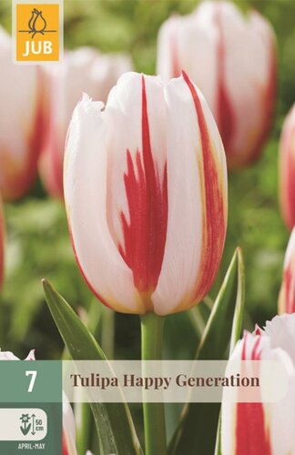 Tulpenbollen triumph happy generation 7 bollen - afbeelding 1