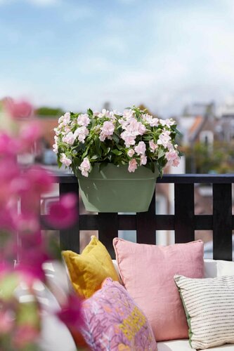 Elho vibia campana flower bridge 60 pistachegroen - afbeelding 4