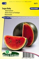 Watermeloen zaden Sugar Baby