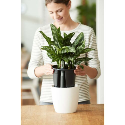 Elho self-watering insert 17 living black - afbeelding 2