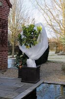 Nature winterafdekvlies 1 x 10 meter 30 g/m² wit - afbeelding 2