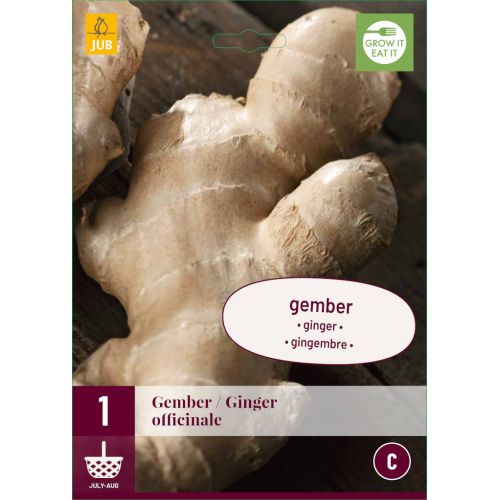 Zingiber officinale gember