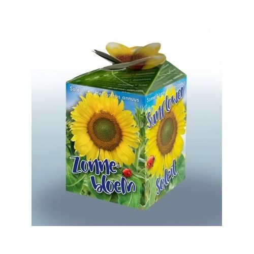 Zonnebloem Greengift